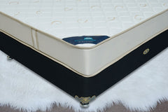 Spine Sense Spine Sense