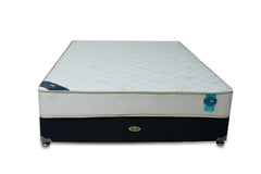 Spine Sense Spine Sense