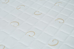 Spine Sense Spine Sense