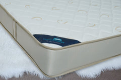 Spine Sense Spine Sense