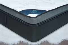 Splendid Sleep ET Splendid Sleep ET